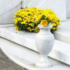 Ритуальная ваза на могилу и цветы к Раданице